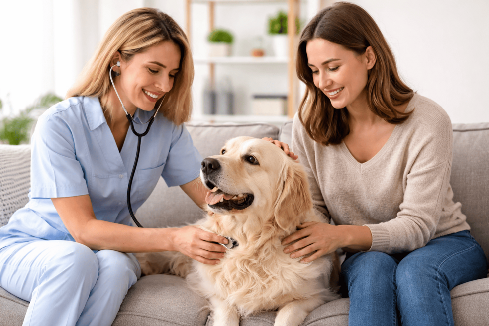 Veterinario a domicilio a Milano visita un cane in casa