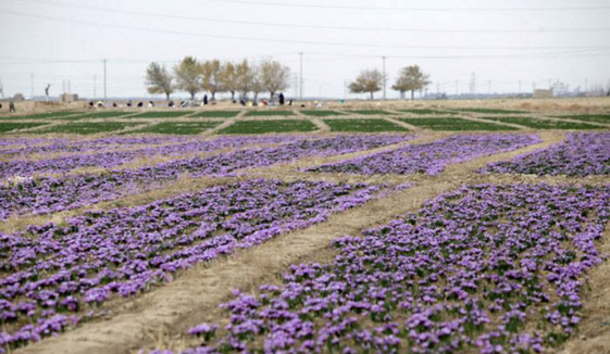 47230ca6-c0ff-49a5-aba0-f59358fa8ad4