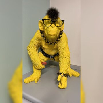 773d033d-d5f9-4313-ad59-b1ab41bf5a4b