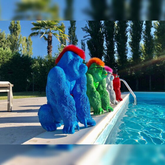 0b3752a9-b7c1-443c-a258-39ba4dcb6315