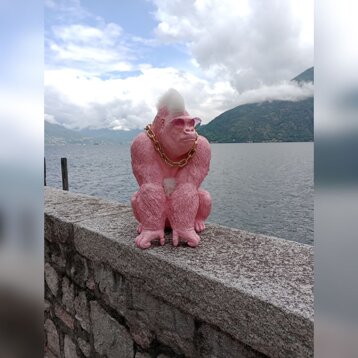 7f34bf4d-05c3-476c-9266-74f470be5f87