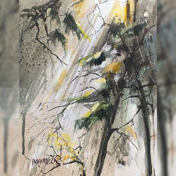 56465d2d-16c4-43ea-a535-74a393c97b98