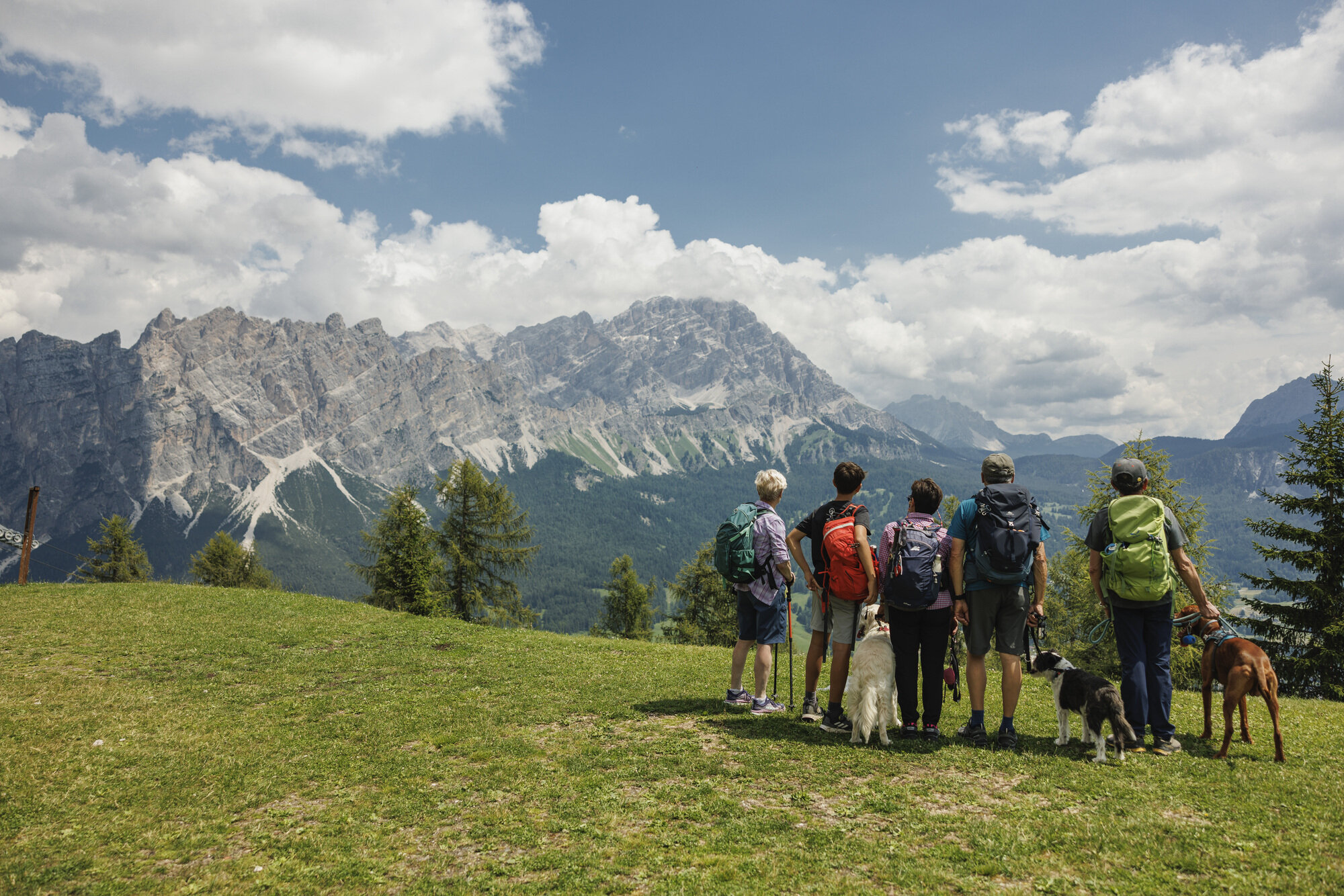 masi-cortina-3.jpeg masi-cortina-3.jpeg