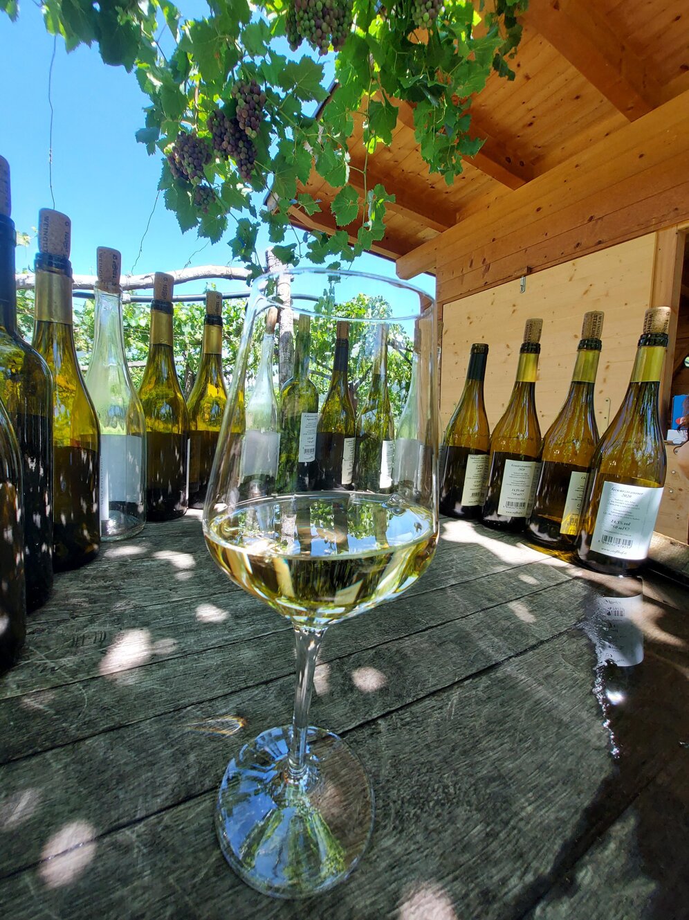 17a273c3-ea41-45af-b188-08876e6b05af