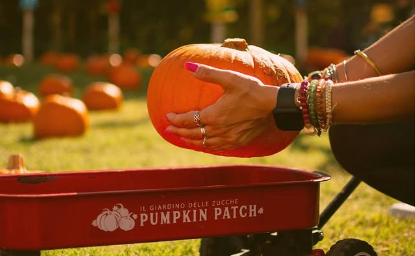 9093e44a-2c86-41b3-afe1-07efaf254528.png 9093e44a-2c86-41b3-afe1-07efaf254528.png