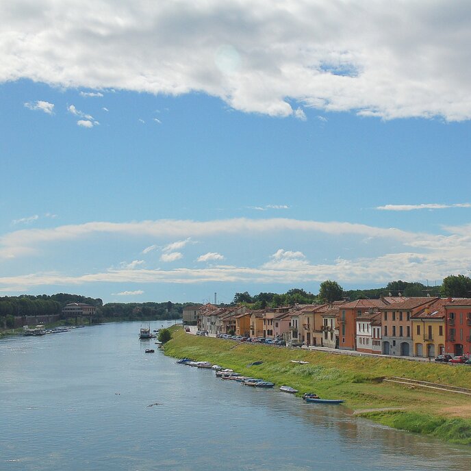 pavia11 square.jpeg