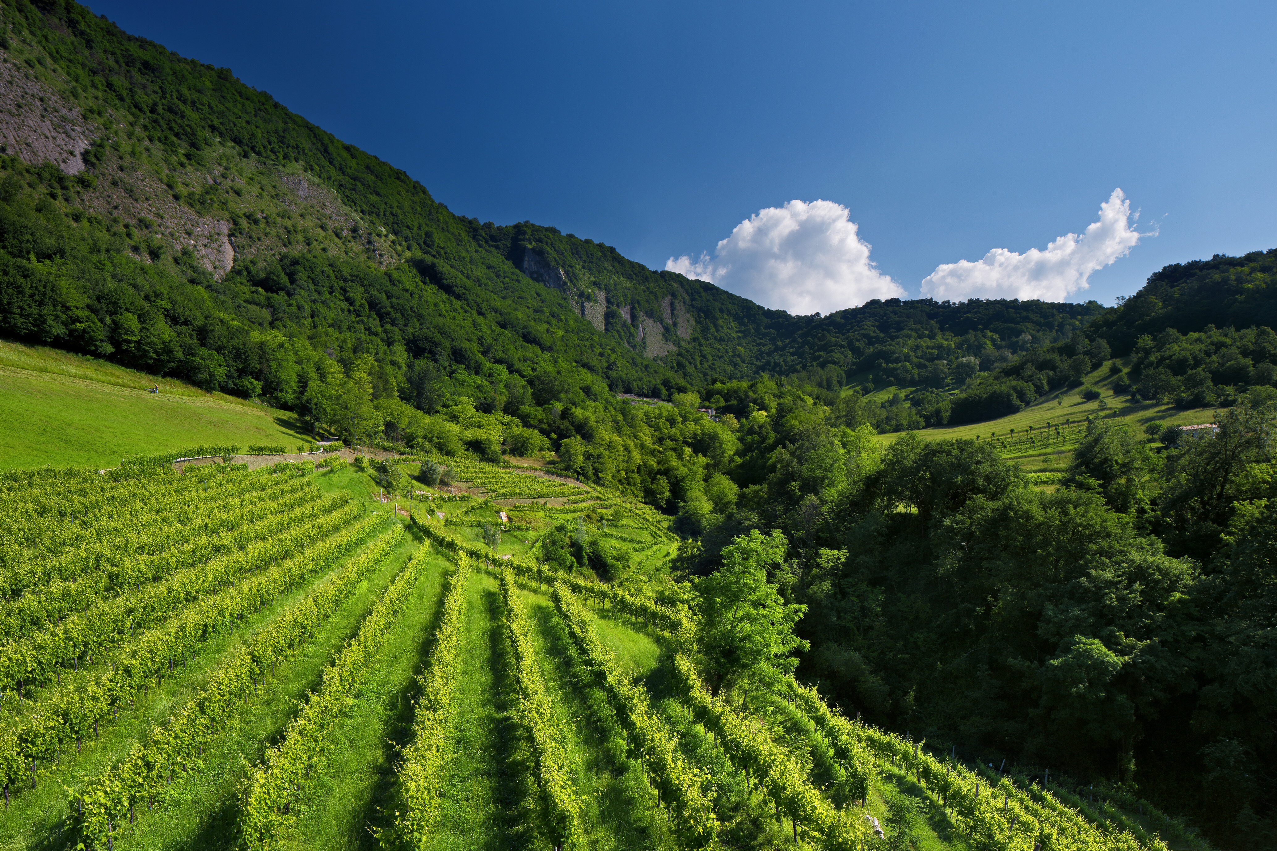 77448772-f637-4a35-8f25-a42540e557af.jpg 77448772-f637-4a35-8f25-a42540e557af.jpg