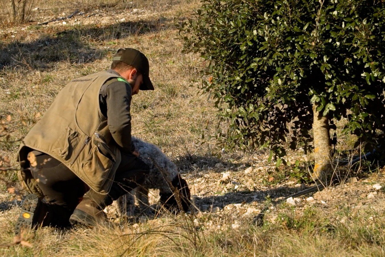 cerca-e-cavatura-del-tartufo-(4).jpeg