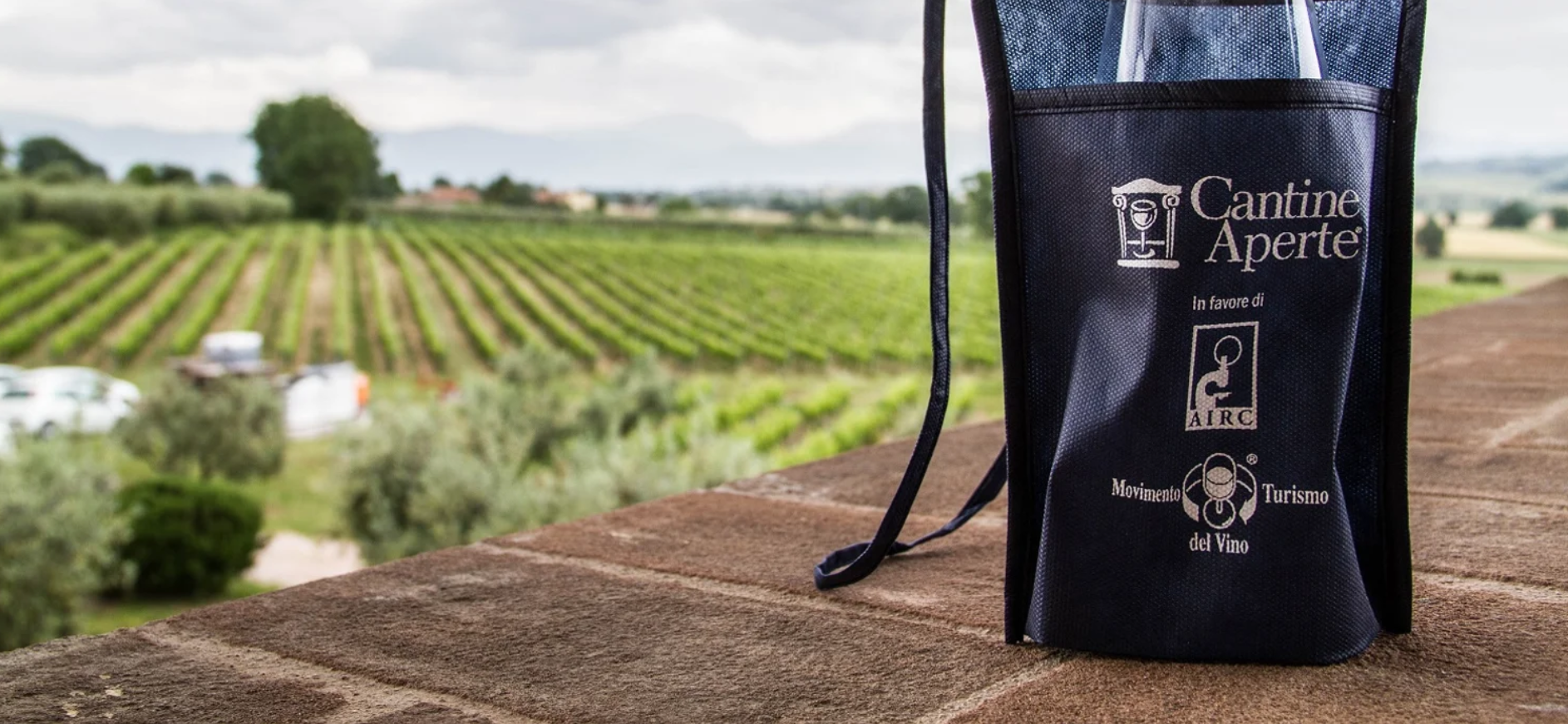 mtv-dicembre-.png mtv-dicembre-.png