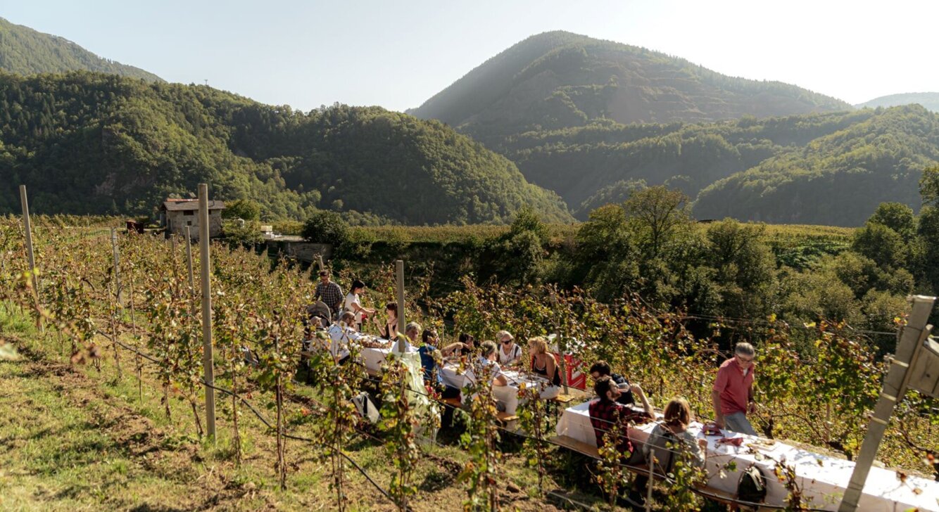 archivio apt fiemme cembra_wine trekking gourmet_ph. mattia rizzi (2)@2x.jpeg