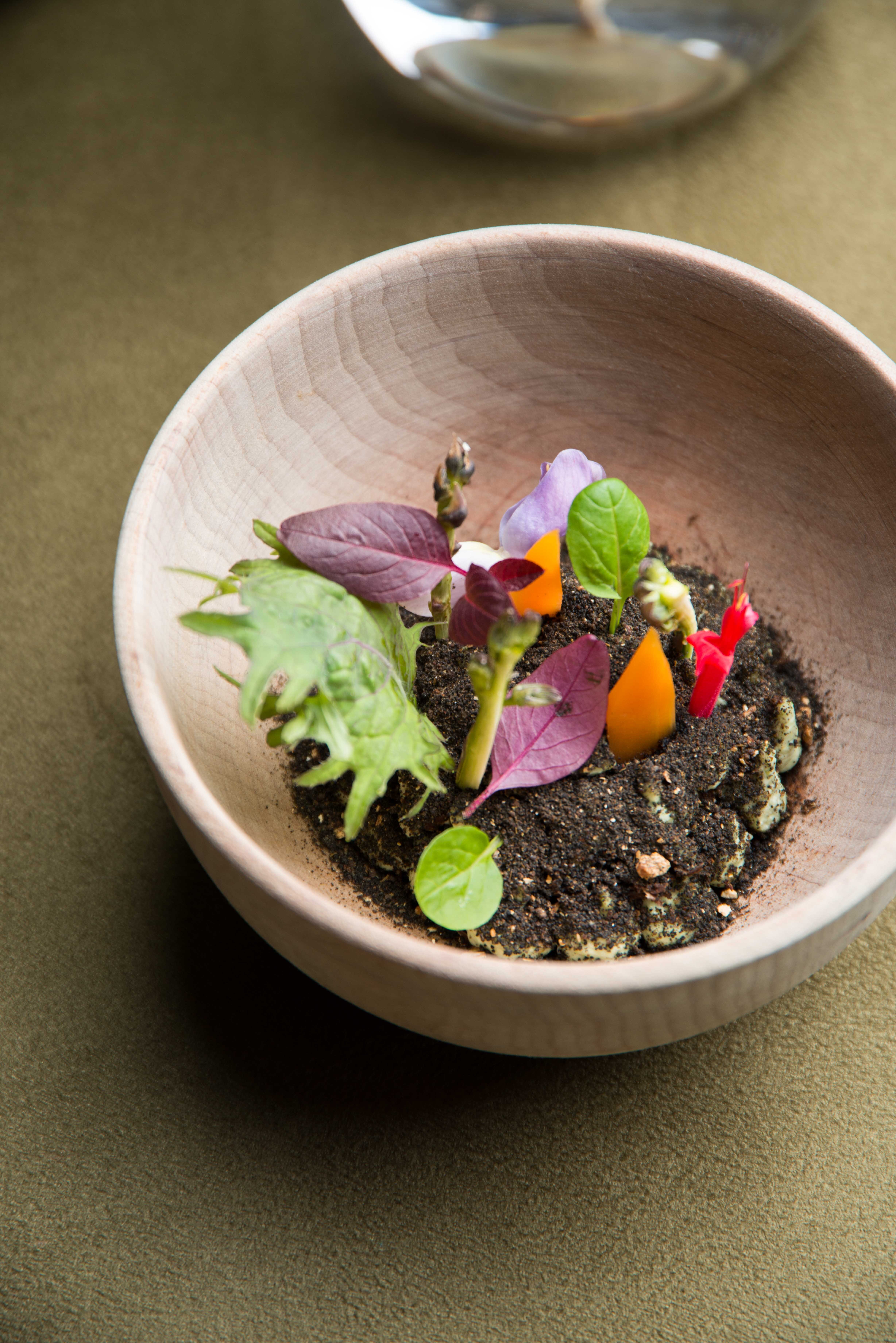 LA CUCINA VISIONARIA DI MARCO SACCO - DAL PICCOLO LAGO DI VERBANIA AL MONDO