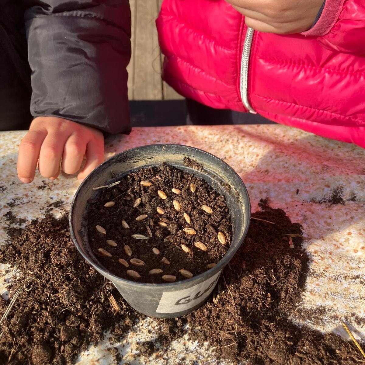 dffa1857-af32-4734-8b2d-3f7a2465af6d.jpg dffa1857-af32-4734-8b2d-3f7a2465af6d.jpg