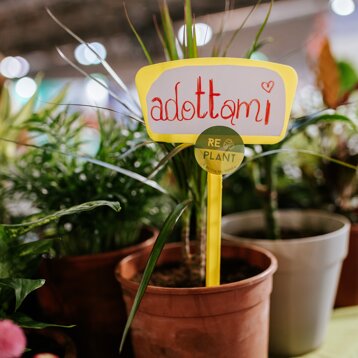 fa' la cosa giusta!_green_adottami@alessia gatta square.jpeg