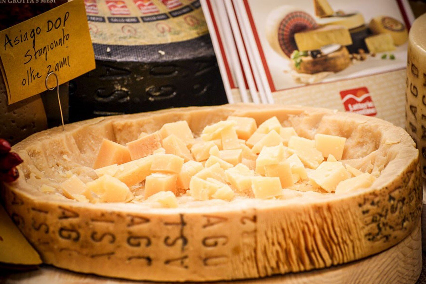 FORMAGGIO IN VILLA, A CITTADELLA IL GRANDE VIAGGIO NEL CUORE DEL GUSTO ITALIANO