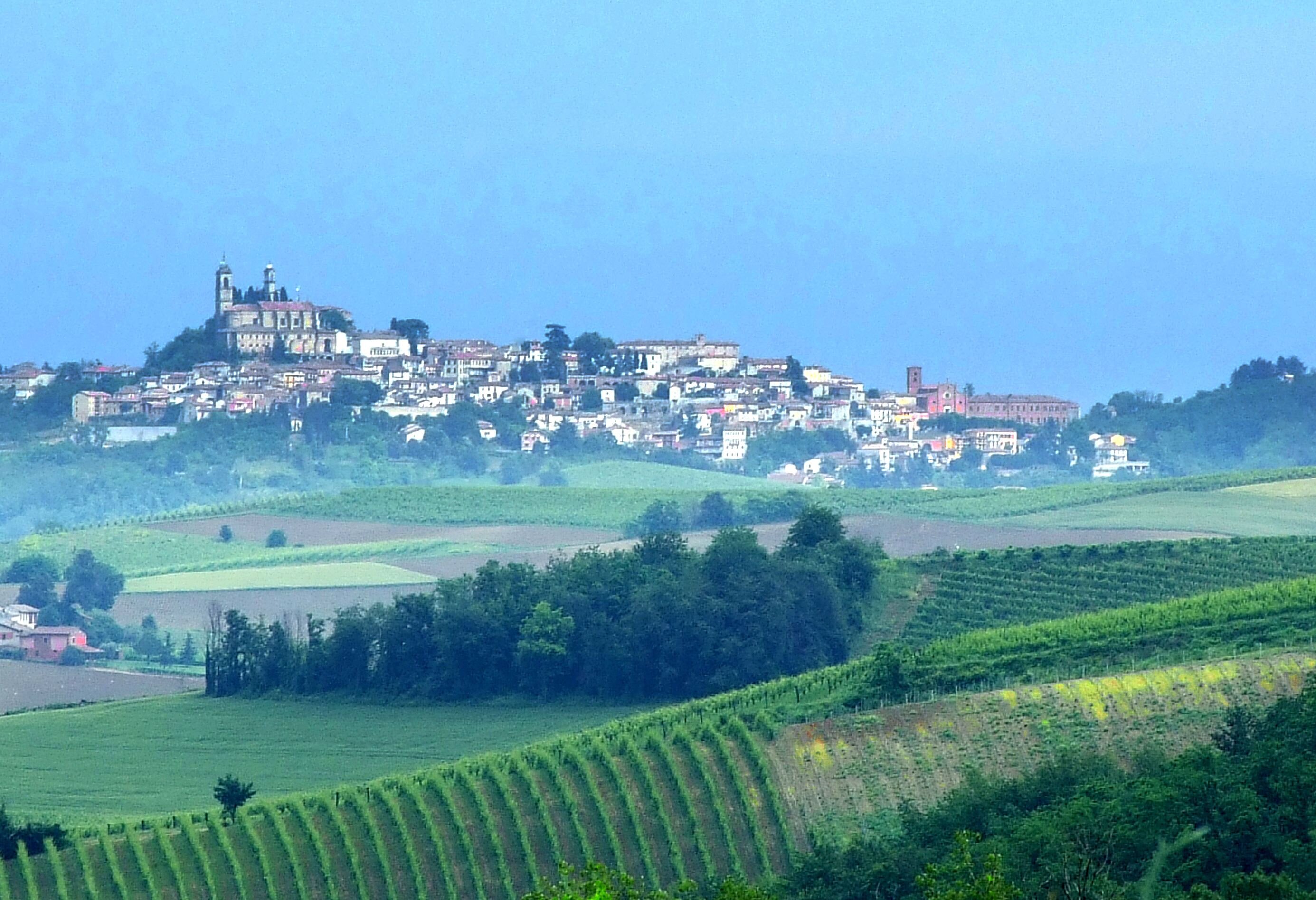 GOLOSARIA TRA I CASTELLI DEL MONFERRATO