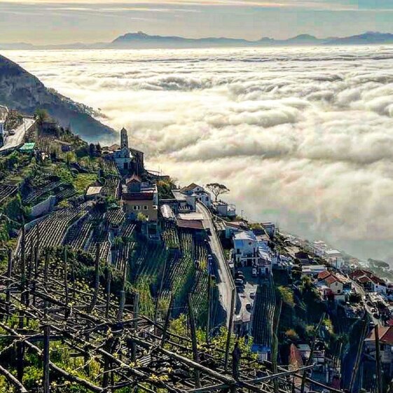 0c4818e5-9b29-48b3-95ec-38b080a31862