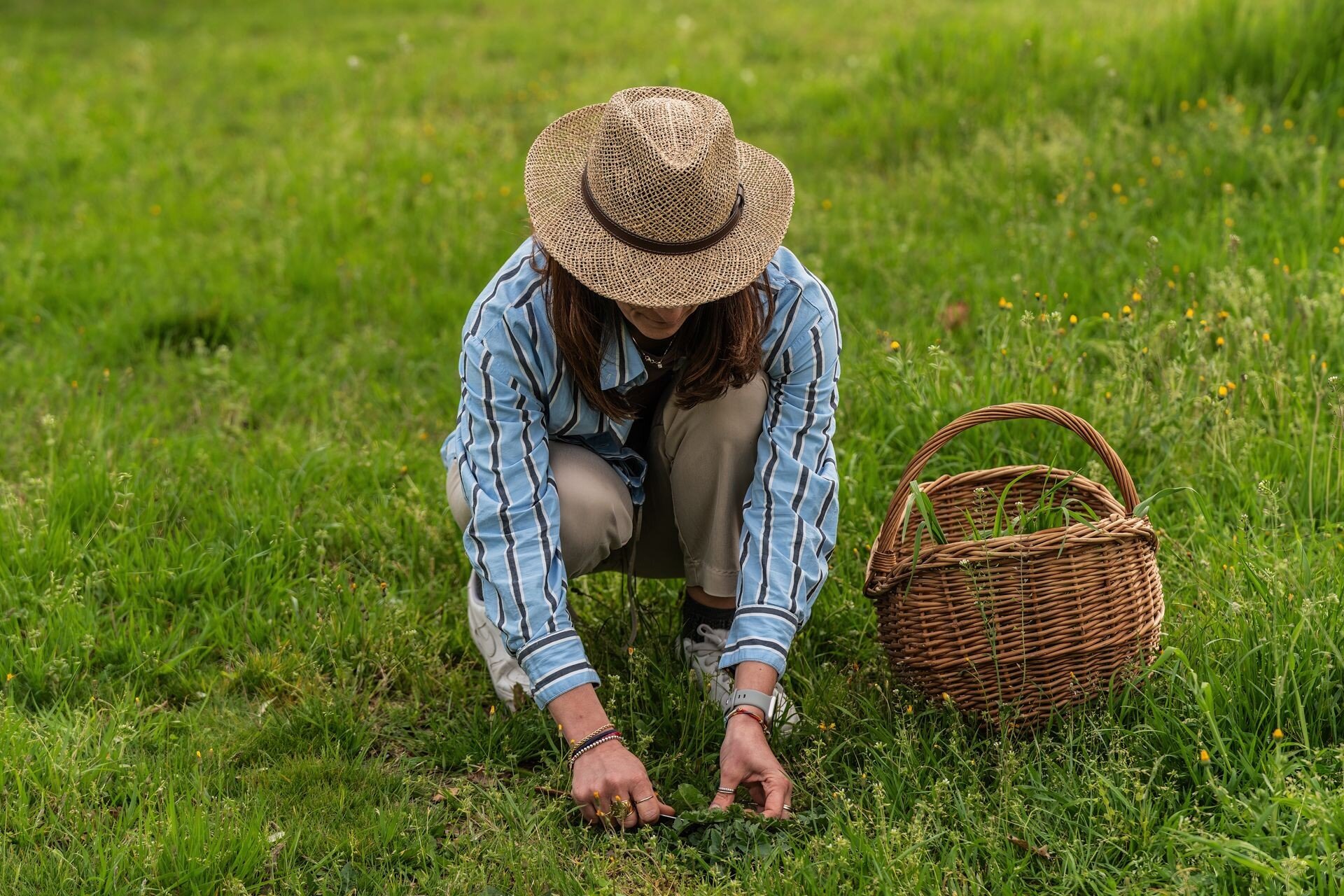 PIATTO VERDE 2025, TRENT'ANNI DI CUCINA GREEN