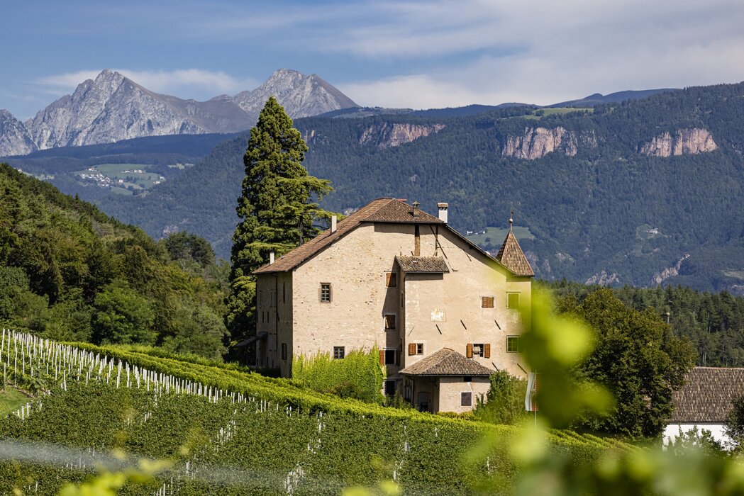 5bbc908a-2749-4ffd-a5f5-ece4993b8900