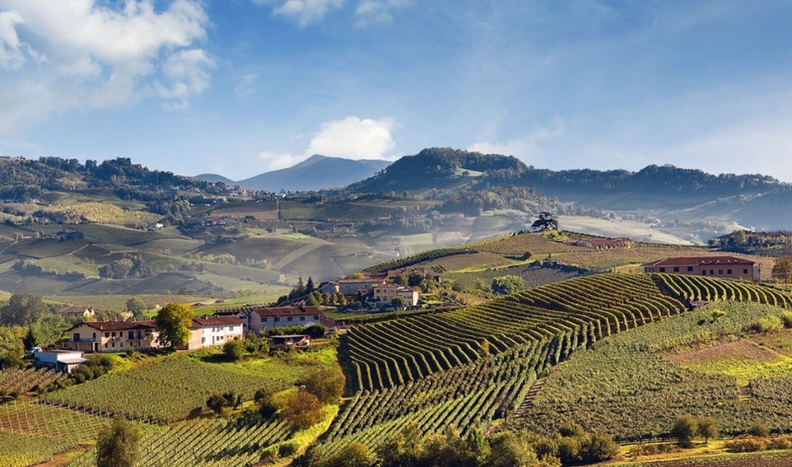 CANTINE APERTE 2025, IL PIEMONTE NEL CALICE