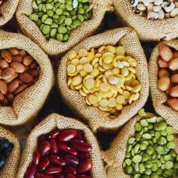 legumi.jpeg legumi.jpeg