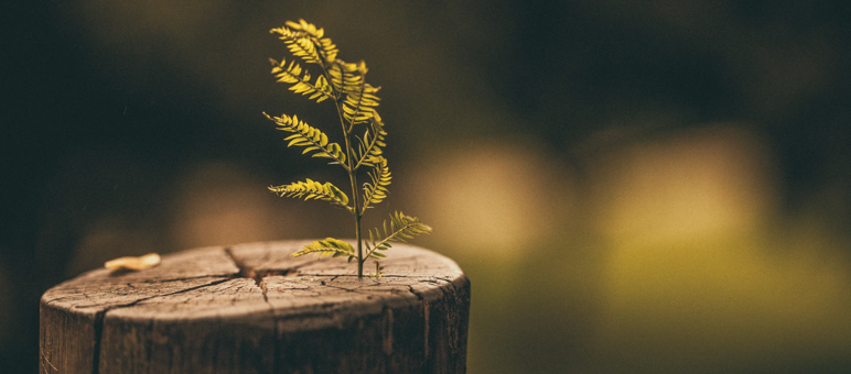 f86eea4d-1ab4-400c-9418-79b0a984c7e7