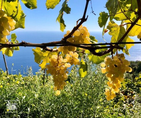 5265f573-16cc-4cf0-8ef8-2bdcfa0ef40c