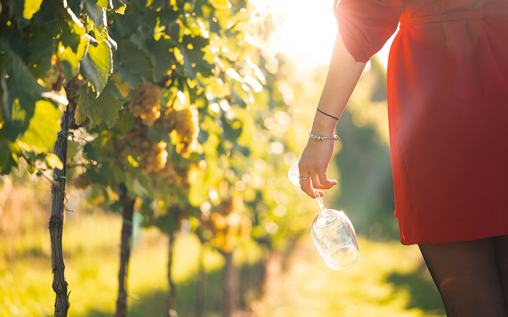 78b92c9e-c185-4545-add4-5c88f1f744c3.jpg 78b92c9e-c185-4545-add4-5c88f1f744c3.jpg