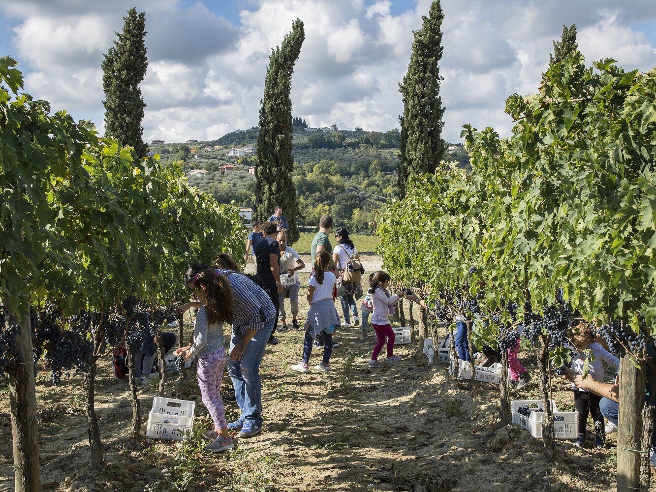 IL CALENDARIO DEI WINE LOVERS - GLI EVENTI AL TOP DI OTTOBRE