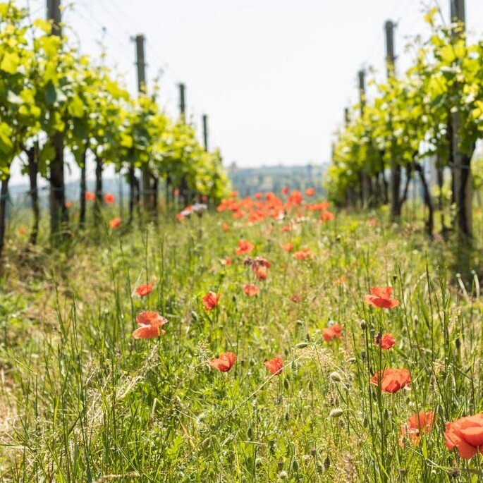 0d39a1a6-30aa-40a1-9586-5e0c5a0f71da.jpg 0d39a1a6-30aa-40a1-9586-5e0c5a0f71da.jpg