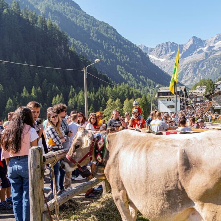 SAPORI D'ALPEGGIO PER TUTTA LA FAMIGLIA IN VAL MALENCO