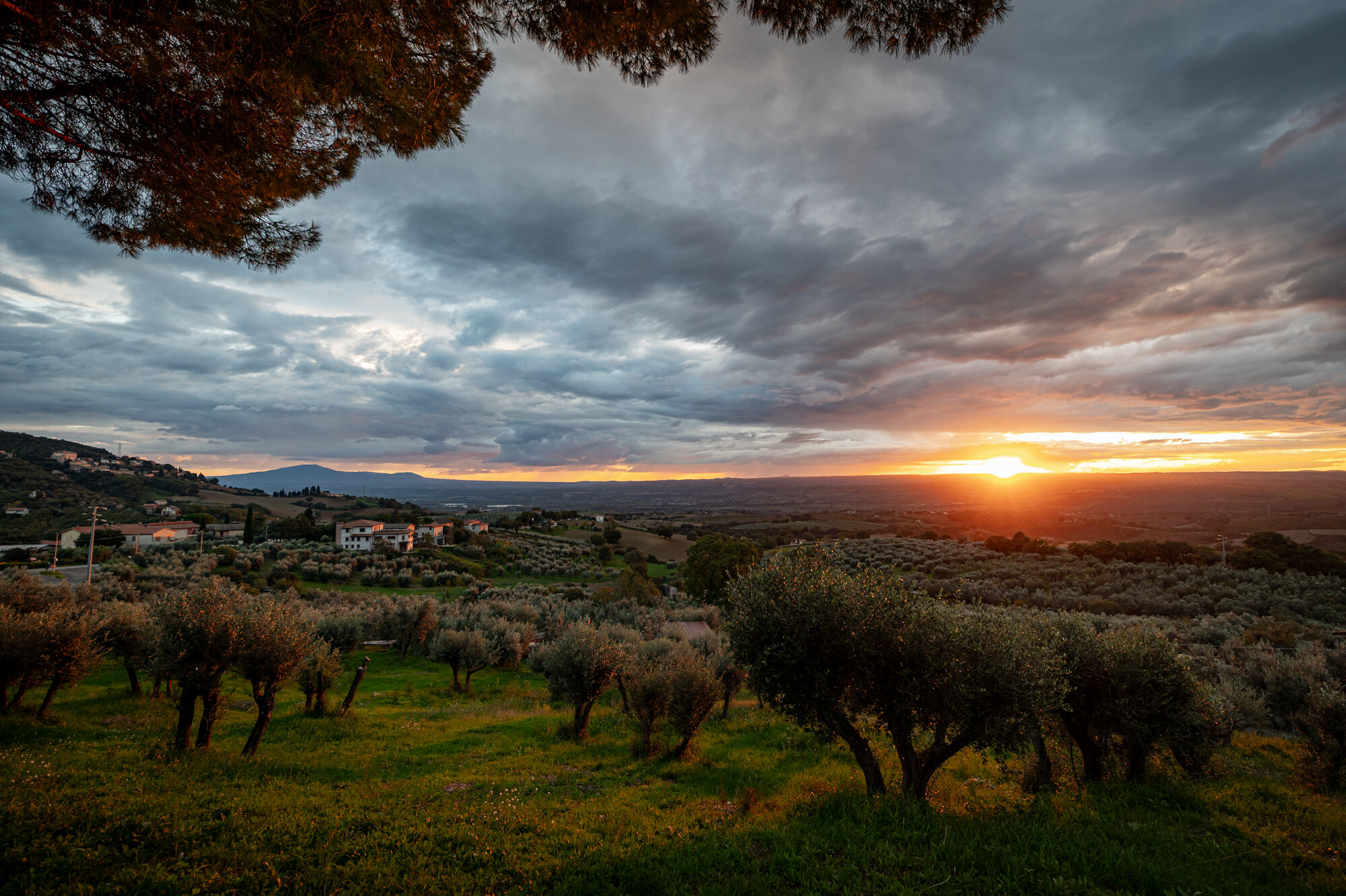 1dab05c8-c787-4eb1-91f1-1100e93b1139.jpg 1dab05c8-c787-4eb1-91f1-1100e93b1139.jpg