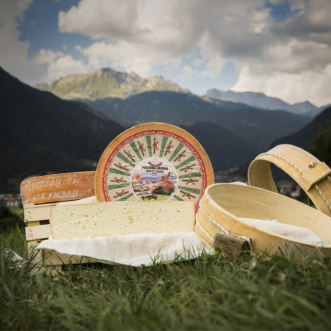 FESTIVAL DEL PUZZONE DI MOENA DOP, ODE AL RE DEI FORMAGGI TRENTINI