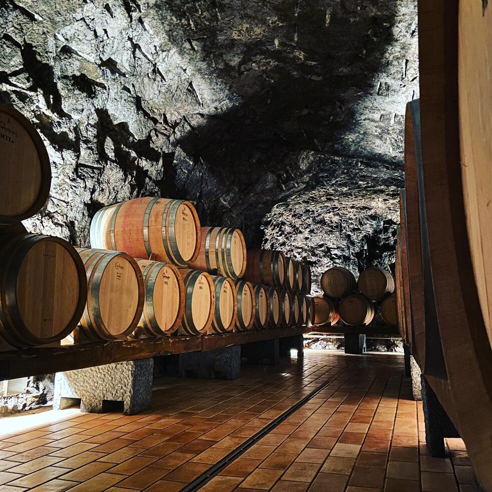 696b1295-783e-41e0-a90d-7579622ebabf