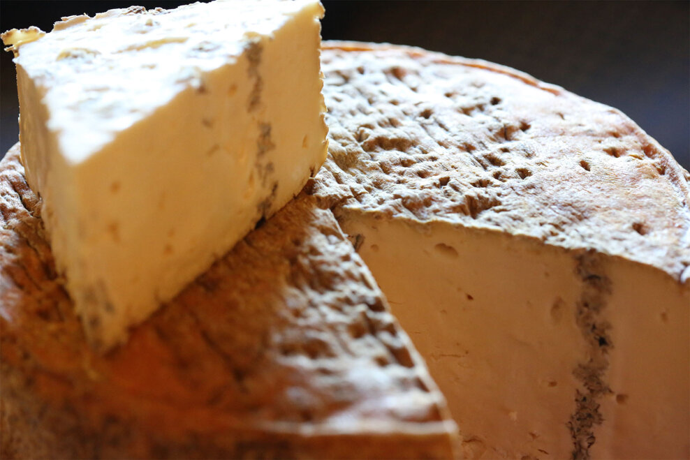 FORMAGGIO IN VILLA 2026 A CITTADELLA