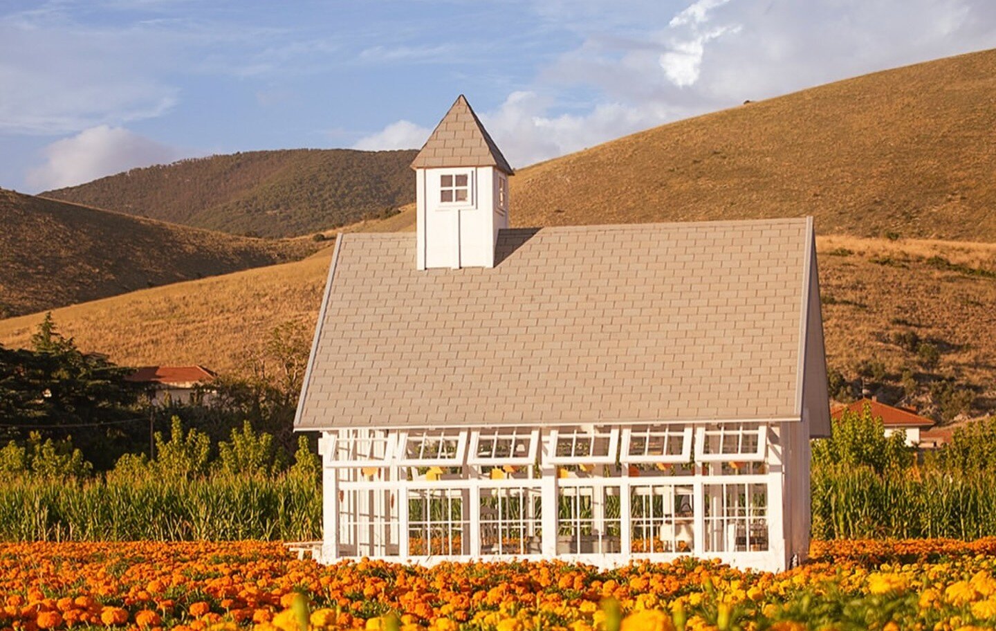 eaec6a93-e120-41d3-9edf-f22240fecdca.jpg eaec6a93-e120-41d3-9edf-f22240fecdca.jpg