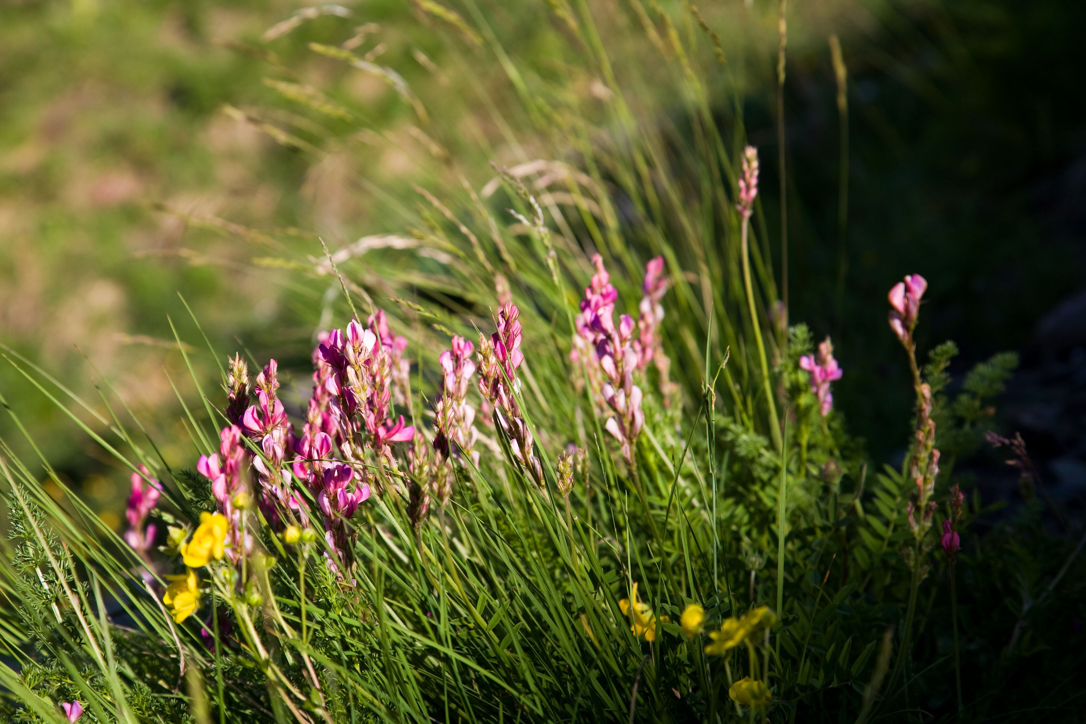 b42d6716-dfd5-4754-841e-3ceb47d0d94a.jpg b42d6716-dfd5-4754-841e-3ceb47d0d94a.jpg