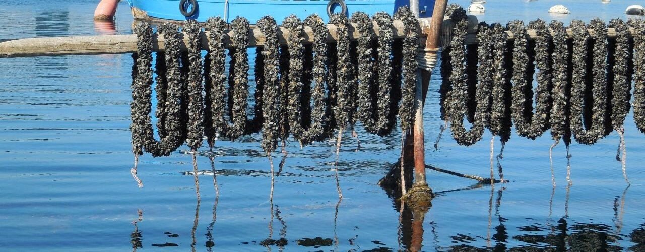 b0ce1558-fab7-404c-94f7-b104b96186d3.jpg b0ce1558-fab7-404c-94f7-b104b96186d3.jpg