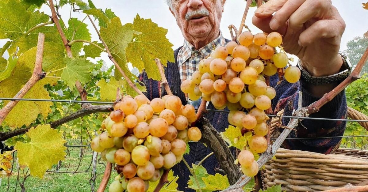 2abdadee-bebf-40ce-8012-c3de66bcb32f.jpg 2abdadee-bebf-40ce-8012-c3de66bcb32f.jpg