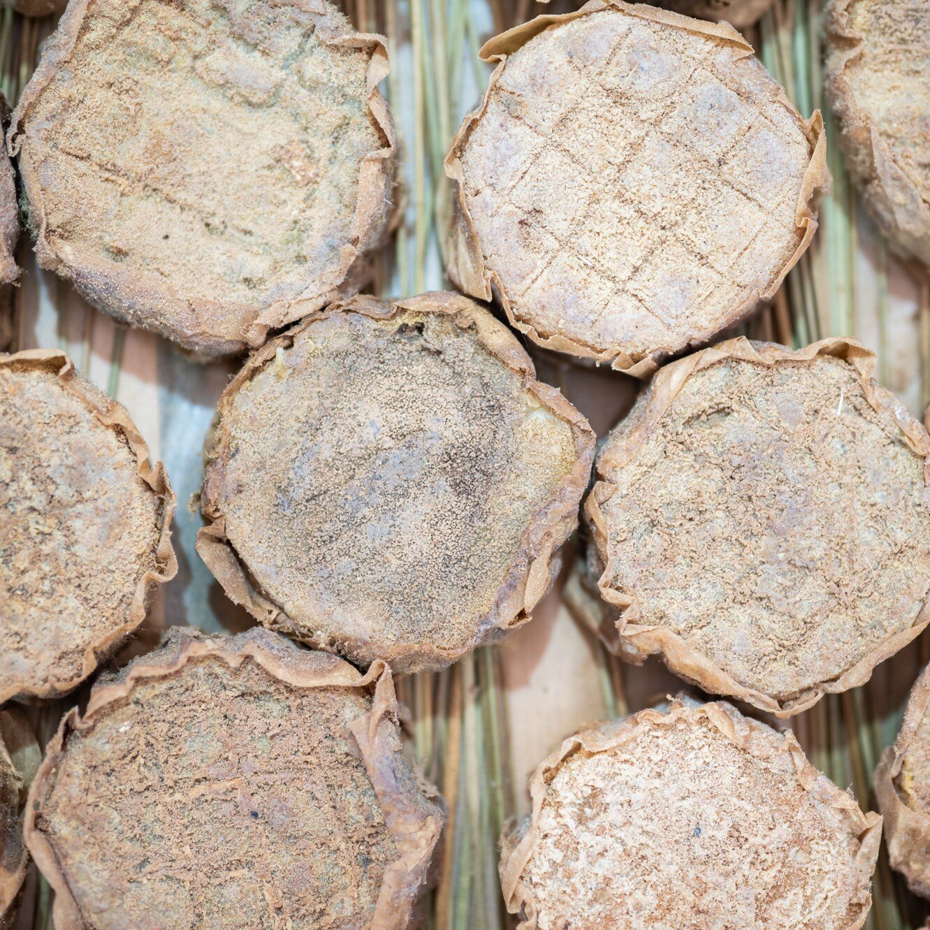 8171b552-0352-44a4-913e-da4c4249d215.jpg 8171b552-0352-44a4-913e-da4c4249d215.jpg