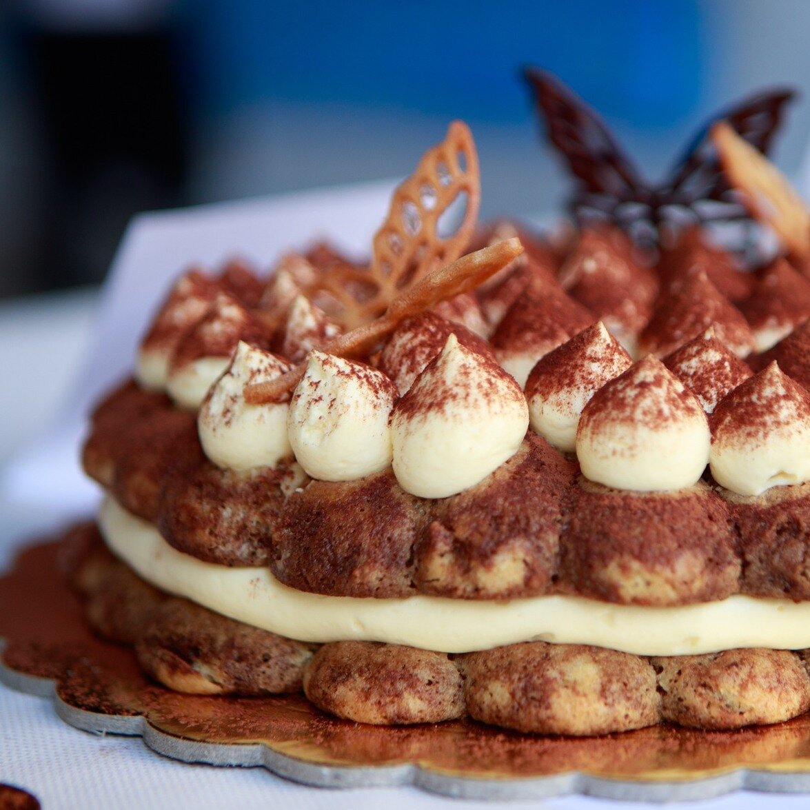 TIRAMISÙ DAY 2025, TREVISO SI ACCENDE DI DOLCEZZA TIRAMISÙ DAY 2025, TREVISO SI ACCENDE DI DOLCEZZA