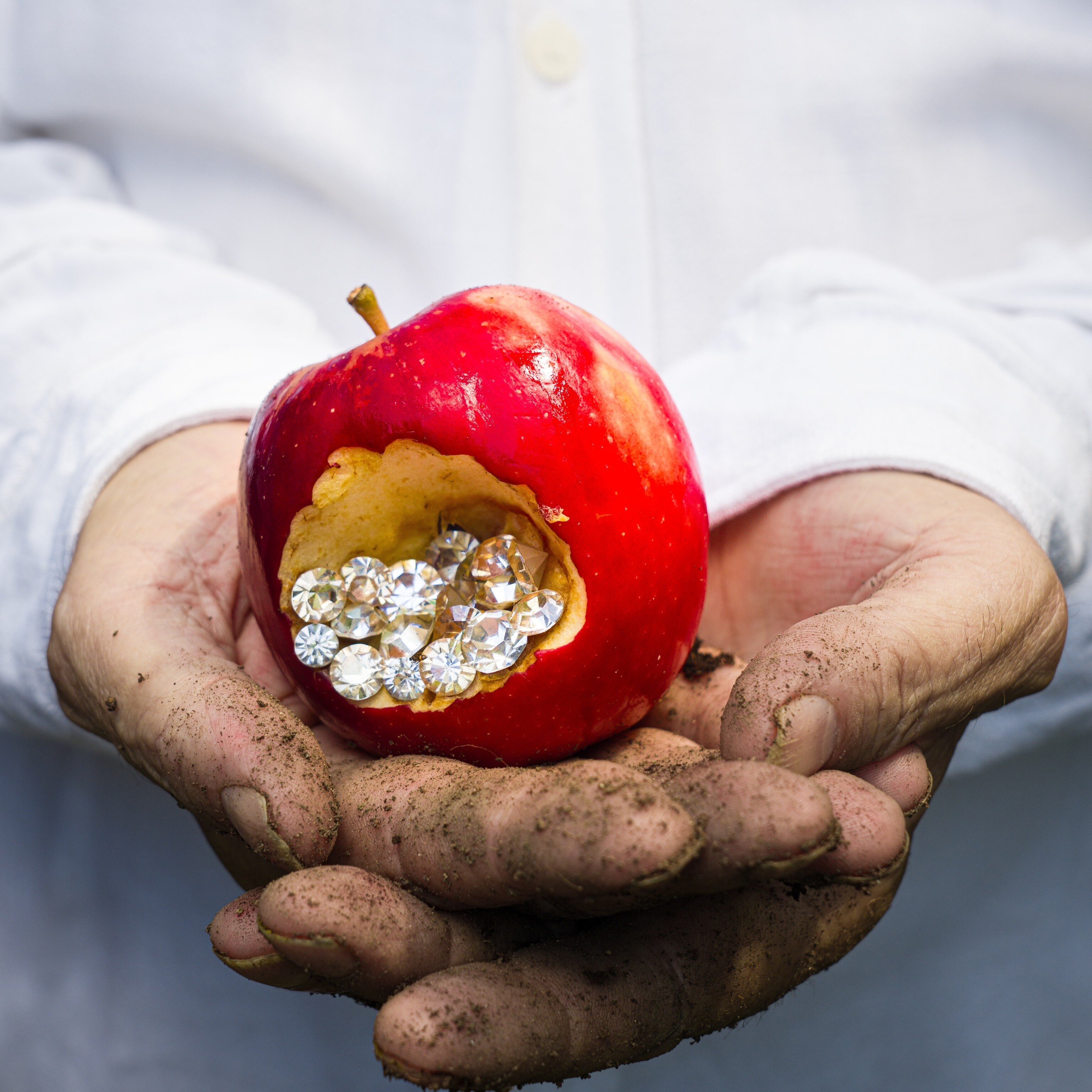 NO NATURE, NO FUTURE - L'ARTE NEL PIATTO ALLO STELLATO GARDENIA DI CALUSO