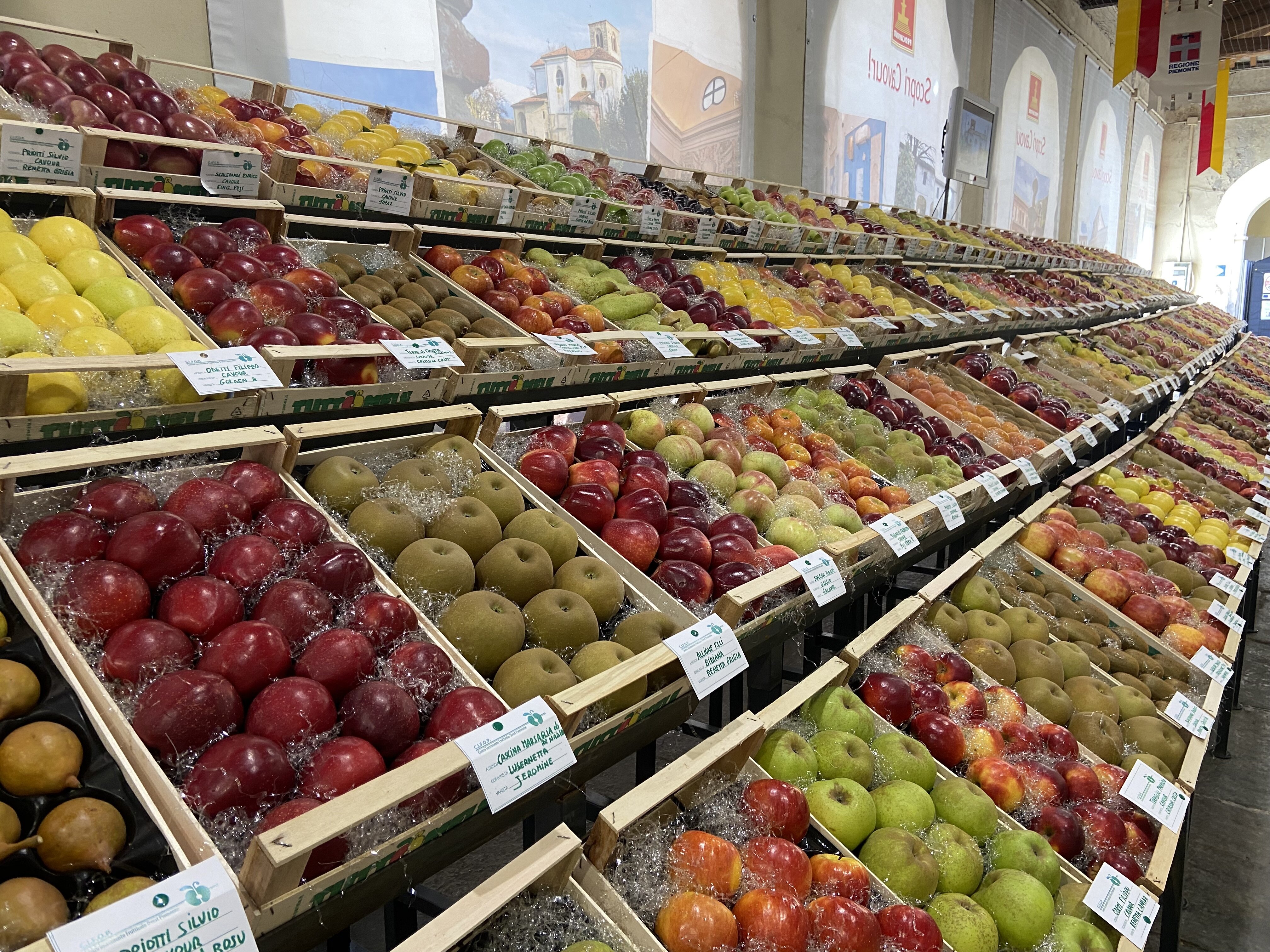 TUTTOMELE A CAVOUR, AMARE LA MELA IN TUTTE LE LINGUE DEL MONDO