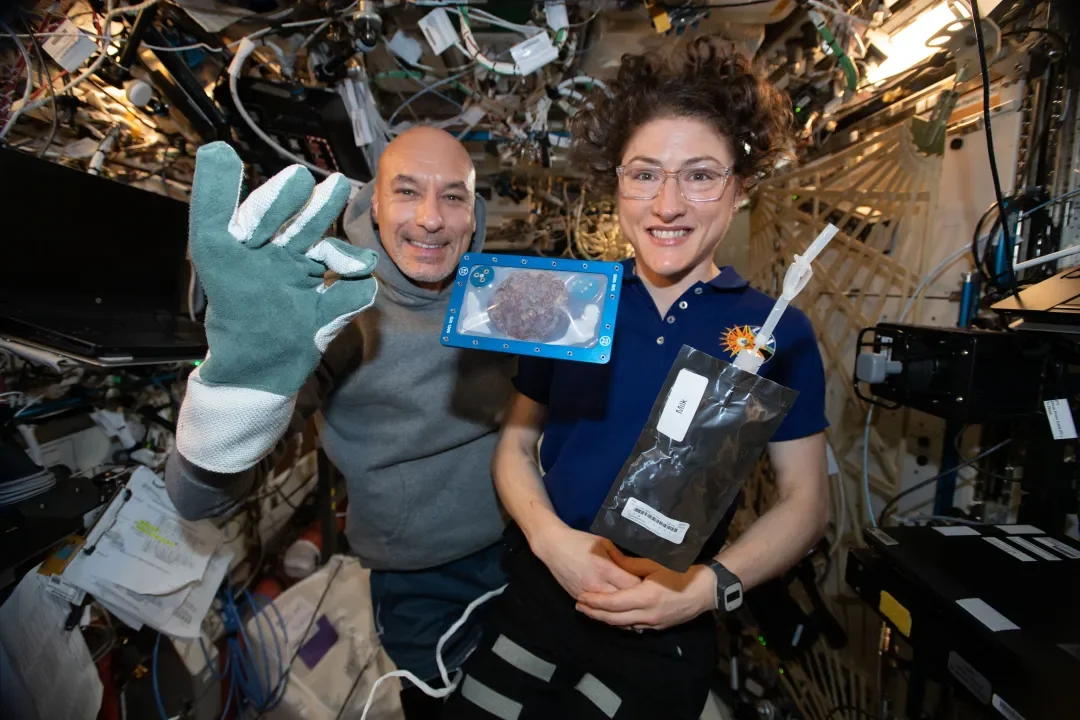 astronauts-commander-luca-parmitano-and-christina-koch-with-milk-and-cookies_hr.webp astronauts-commander-luca-parmitano-and-christina-koch-with-milk-and-cookies_hr.webp