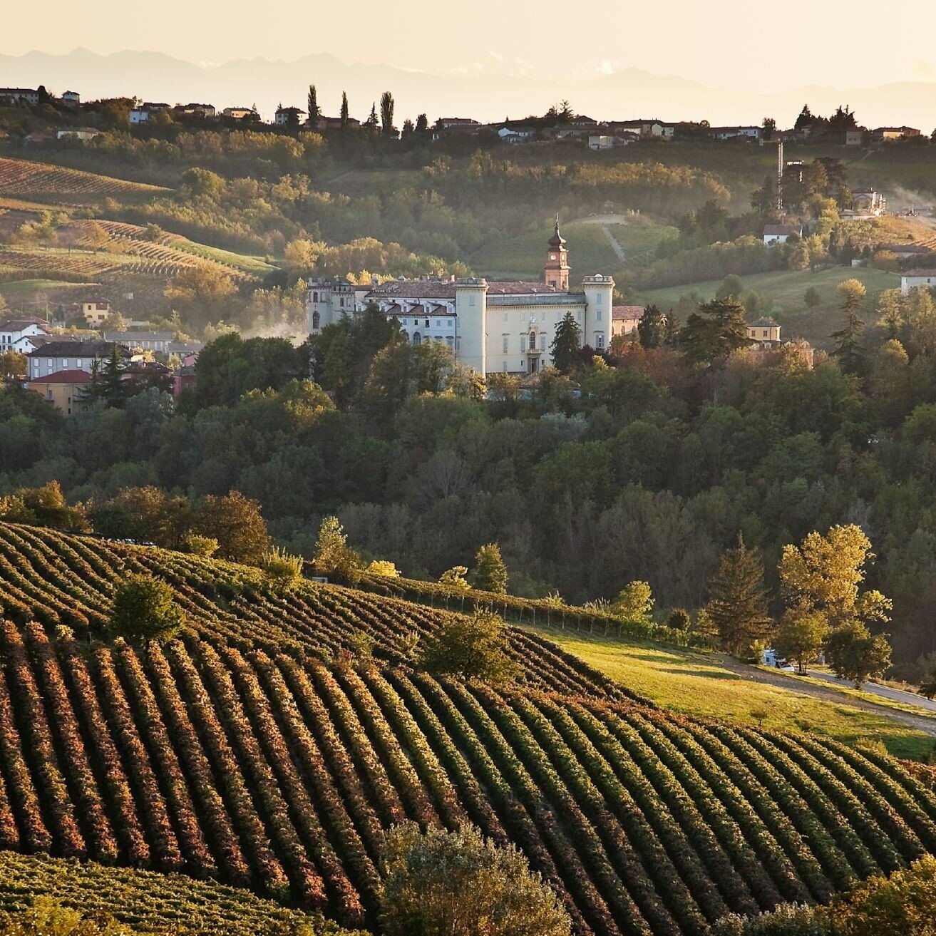 GOLOSARIA TRA I CASTELLI DEL MONFERRATO, DA ASTI AD ALESSANDRIA