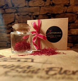 e4381ca7-3cff-4088-aa07-a60939719b7f