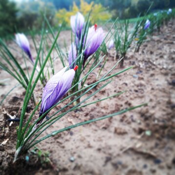 34ab202a-3c5e-41ce-90fa-0b622205f8ba