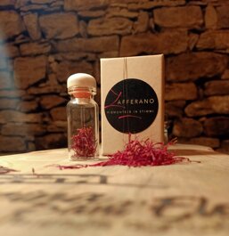 2fa72f6b-2ddd-4a63-99f1-f7f6259efe90