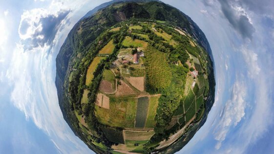 4d624b49-bea1-4518-b081-e92b5832db0b 4d624b49-bea1-4518-b081-e92b5832db0b