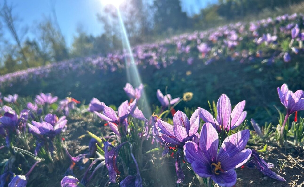 e61faee8-c7c1-427f-a533-a99d72daad81