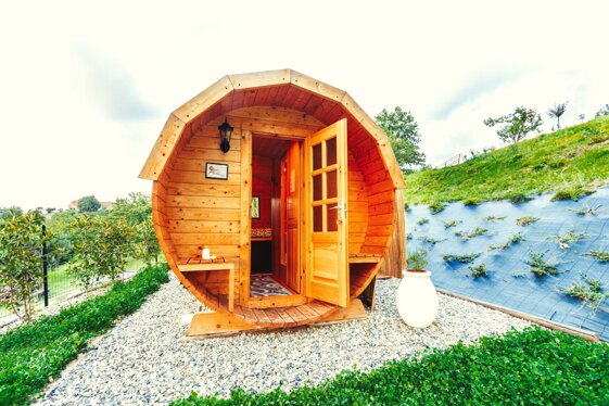 131c2eed-8a07-4df8-b753-4d07de2baae0